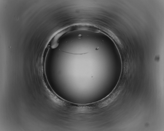 X0000100190988200805301243