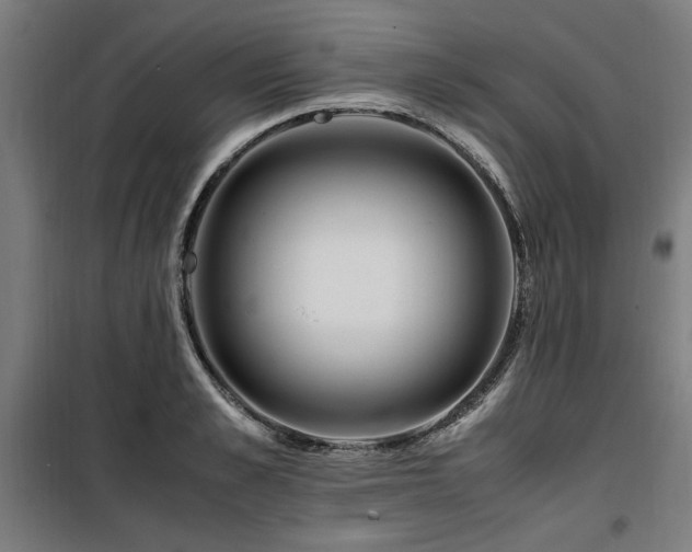 X0000100190989200805301243