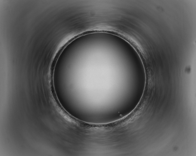 X0000100190990200805301243