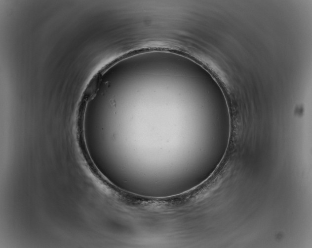 X0000100190991200805301243