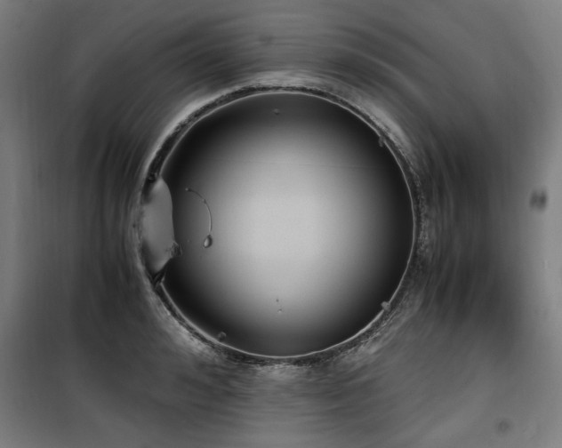 X0000100190992200805301243