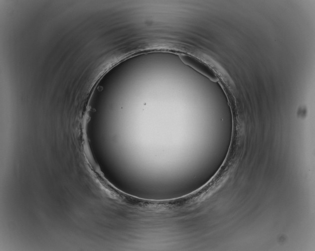 X0000100190993200805301243
