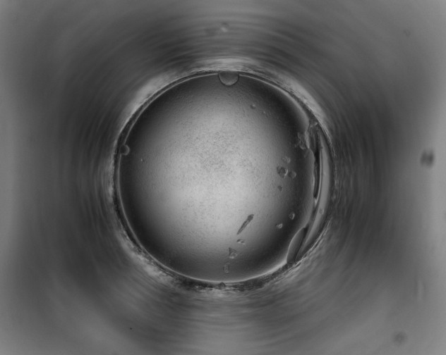 X0000100190994200805301243