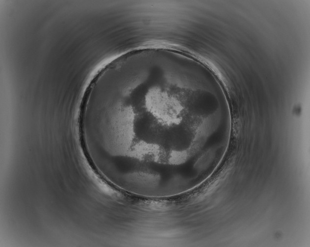 X0000100190995200805301243