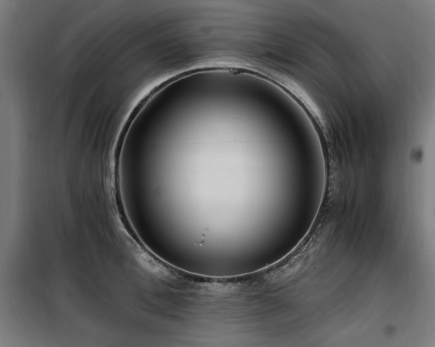 X0000100190996200805301243