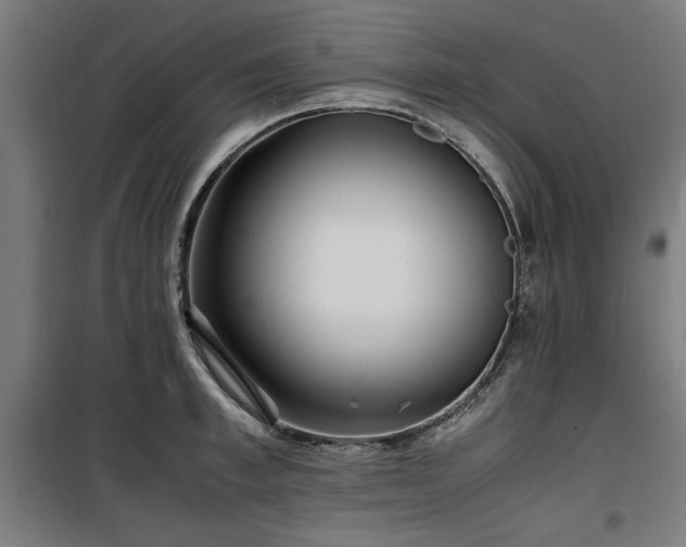 X0000100190997200805301243