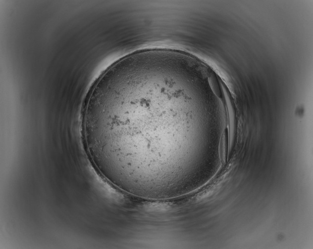 X0000100190998200805301243