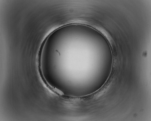 X0000100190999200805301243