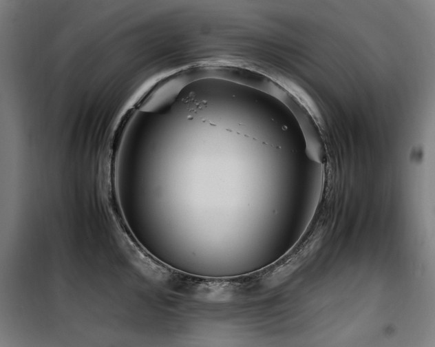 X0000100191000200805301243