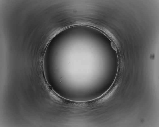 X0000100191001200805301243