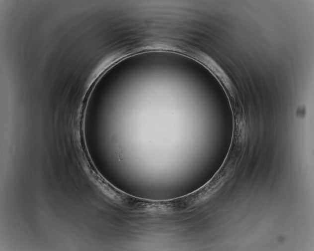 X0000100191002200805301243