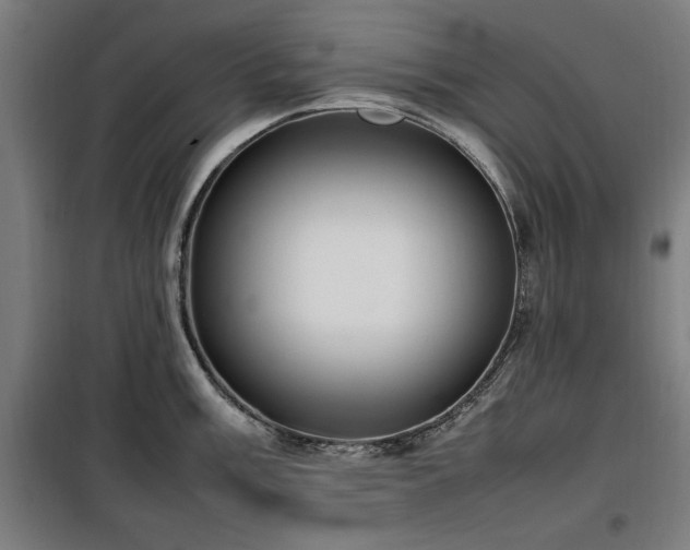 X0000100191003200805301243