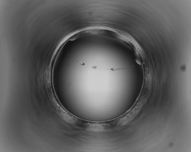 X0000100191004200805301243