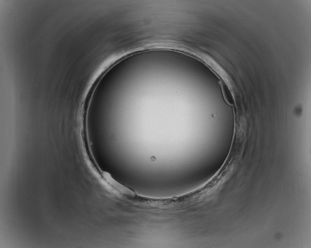 X0000100191005200805301243