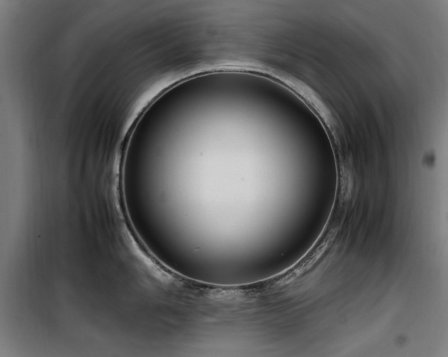 X0000100191006200805301243