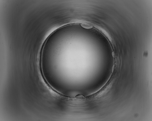 X0000100191007200805301243