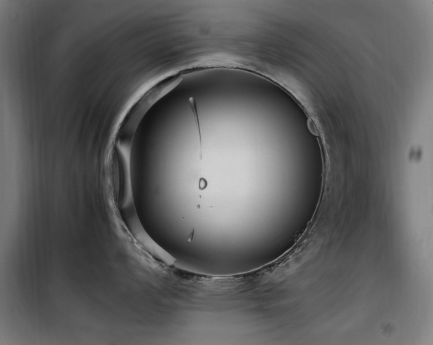 X0000100191008200805301243