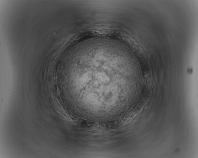 X0000100191009200805301242