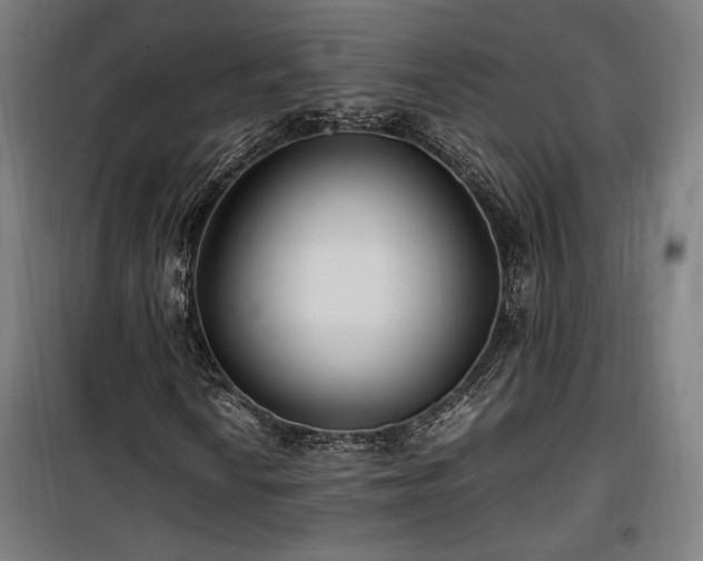 X0000100191010200805301242
