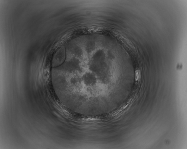 X0000100191011200805301242