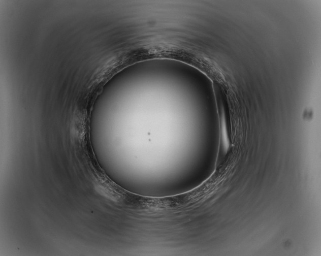 X0000100191012200805301242