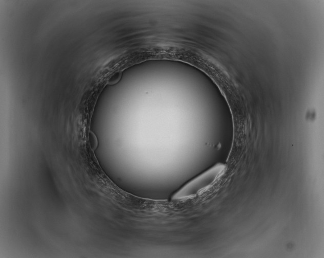 X0000100191013200805301242