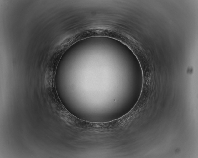 X0000100191014200805301242