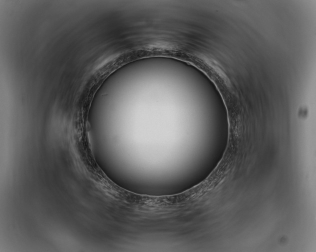X0000100191015200805301242