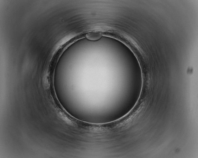 X0000100191018200805301243