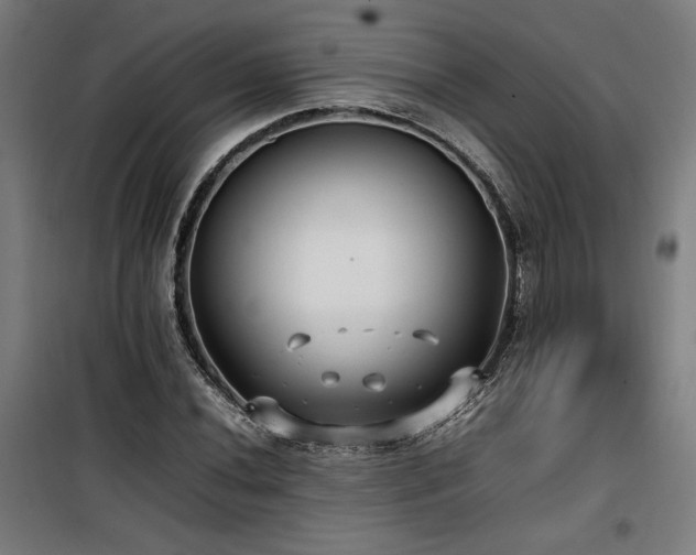 X0000100191020200805301243