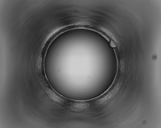 X0000100191021200805301243