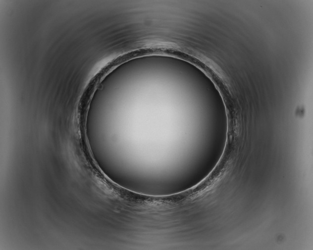 X0000100191022200805301243