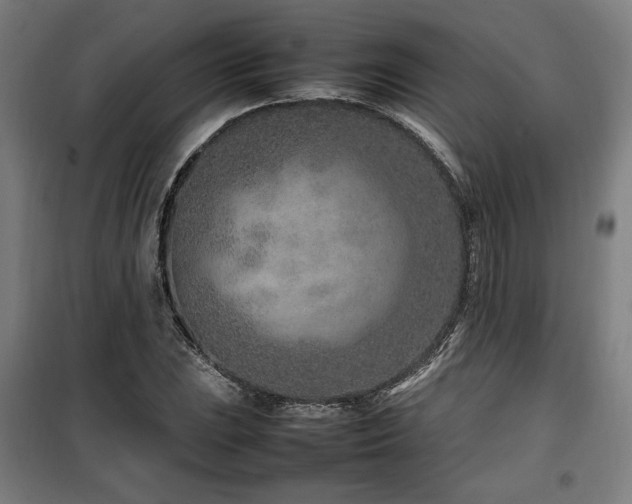 X0000100191023200805301243