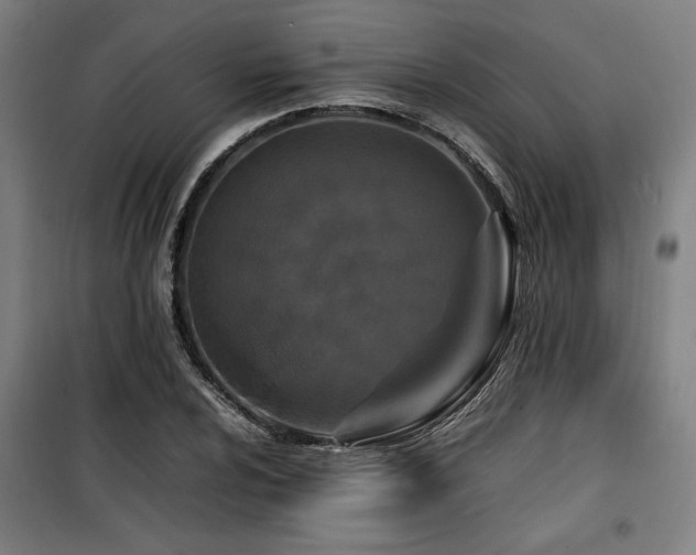 X0000100191024200805301243