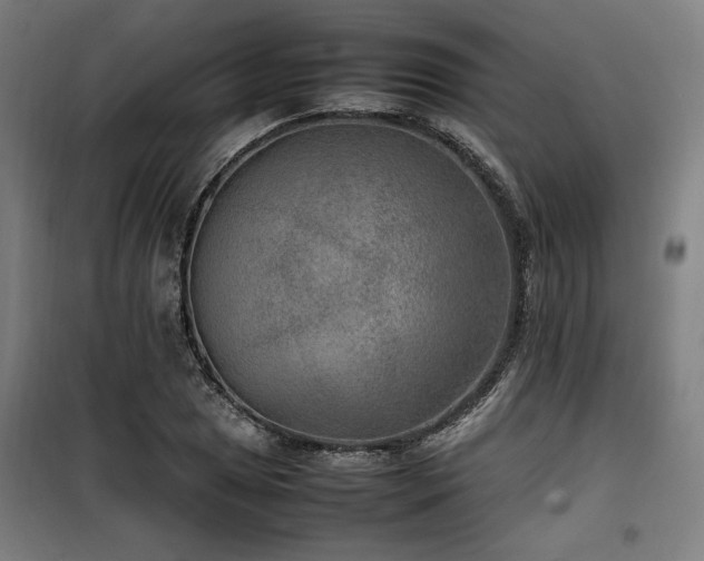 X0000100191025200805301243