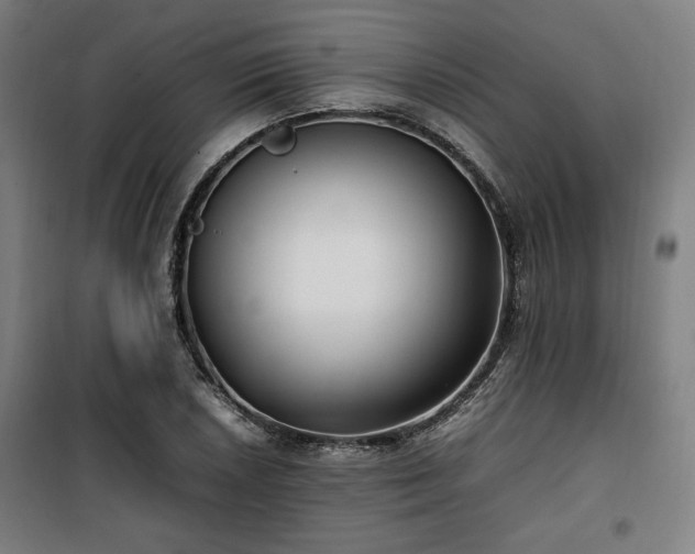 X0000100191026200805301243