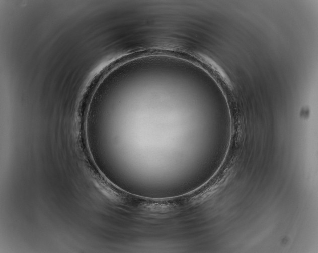 X0000100191027200805301243