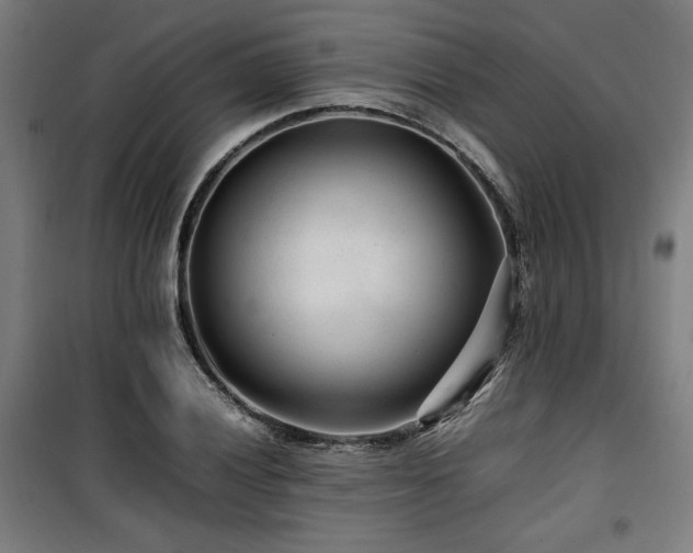 X0000100191028200805301243