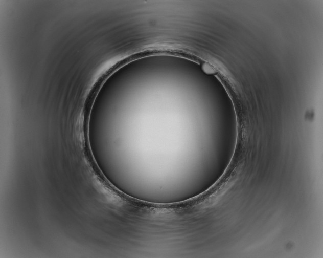 X0000100191030200805301243