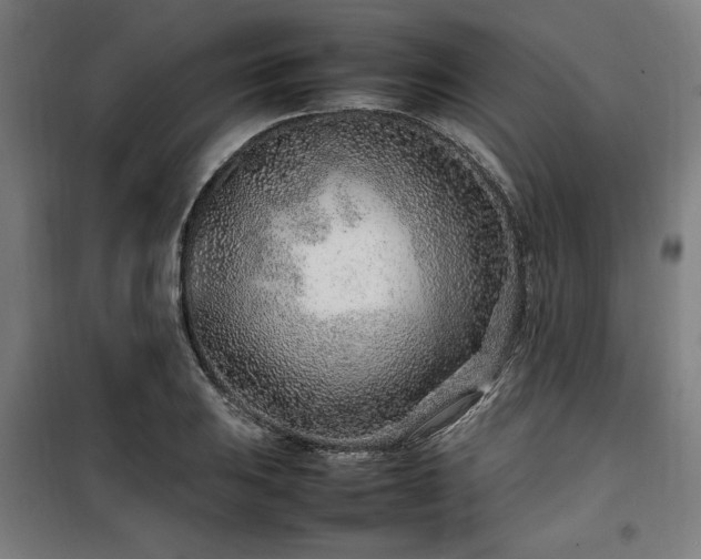 X0000100191031200805301243