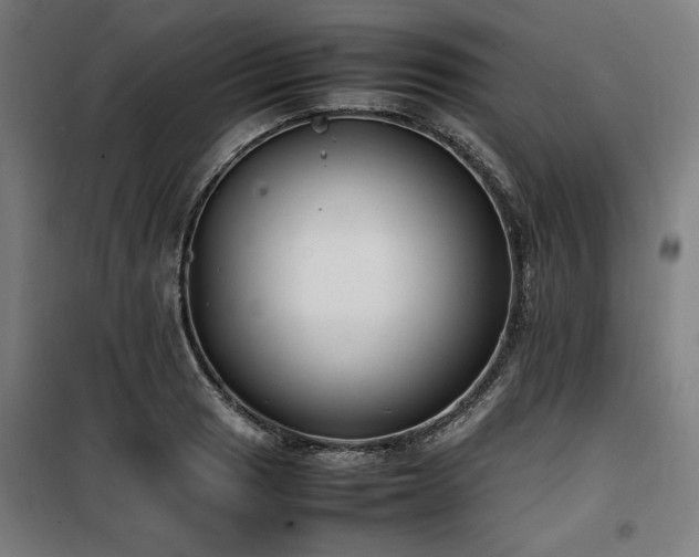X0000100191033200805301243
