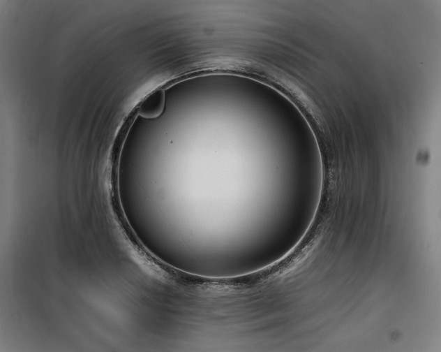 X0000100191034200805301243
