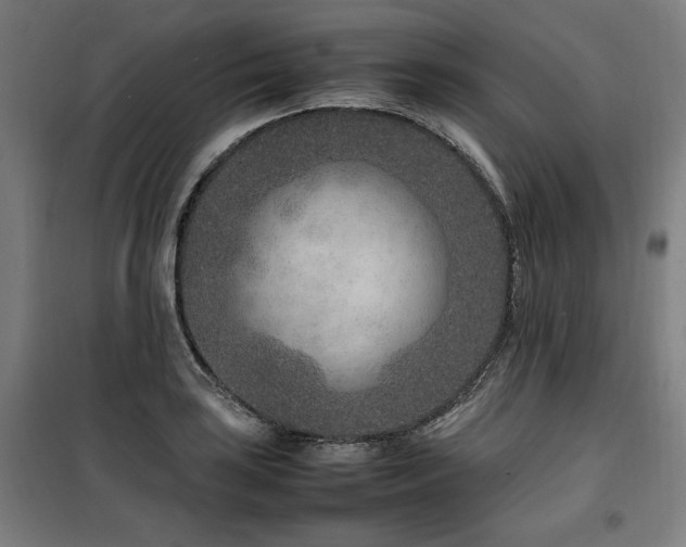 X0000100191035200805301243