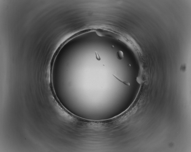 X0000100191036200805301243