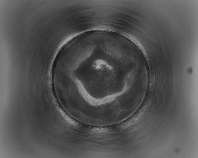 X0000100191037200805301243