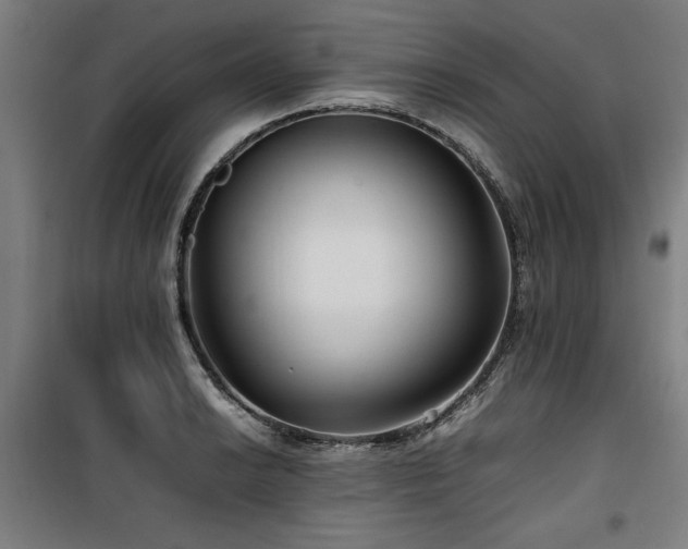 X0000100191038200805301243