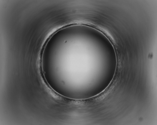X0000100191040200805301243