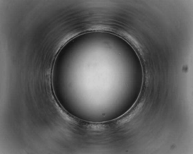 X0000100191041200805301243