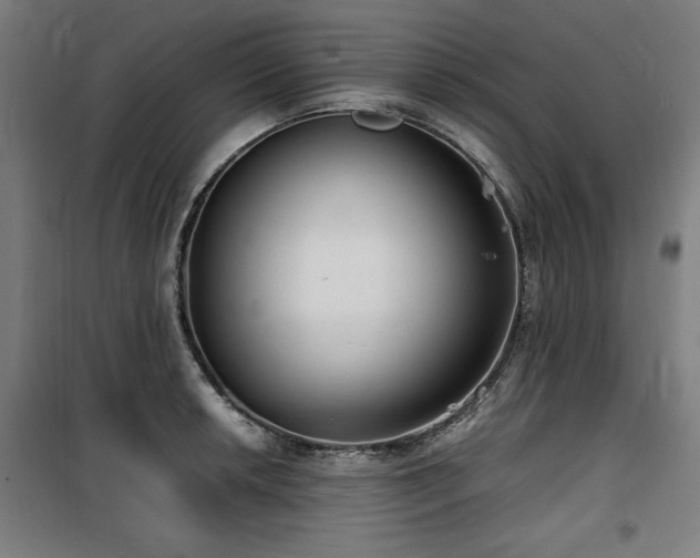 X0000100191042200805301243