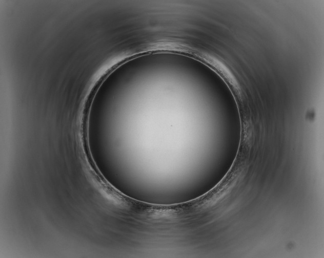 X0000100191043200805301243